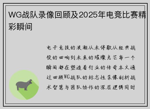 WG战队录像回顾及2025年电竞比赛精彩瞬间