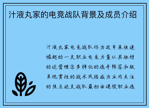 汁液丸家的电竞战队背景及成员介绍